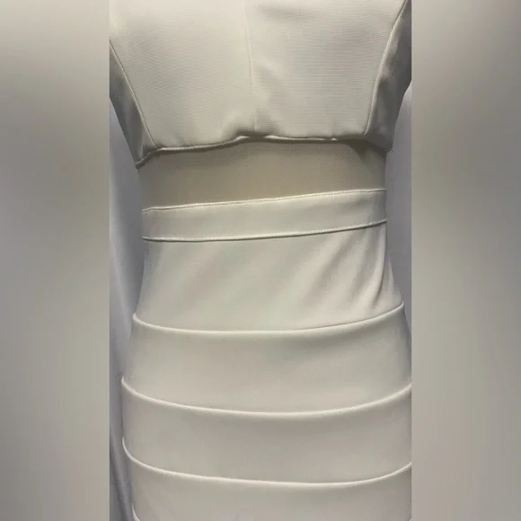 Windsor gorgeous bodycon dress - Picture 3 of 13